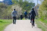 pedestrians and person on a bike